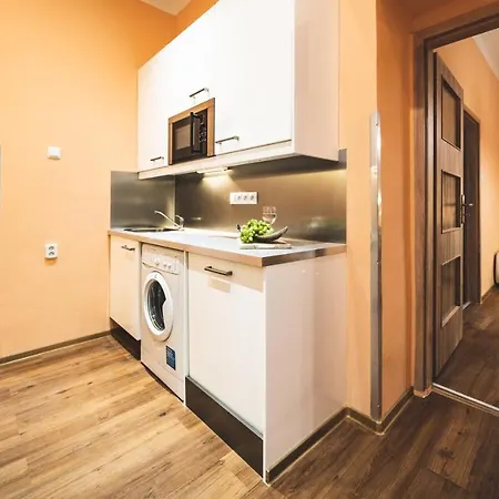 The Grand Royal 3bdr Heart Of Old Town Apartman Prága